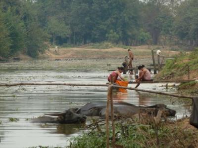 badende Kinder im fluss